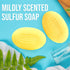 JJ CARE Sulfur Soap for Acne - Pack of 2 Sulphur Soaps, 10% Natural Volcanic Sulphur with 3% Salicylic acid, 4 oz. Sulphur Soap Bar with 100% Lavender Essential Oil for Daily Use